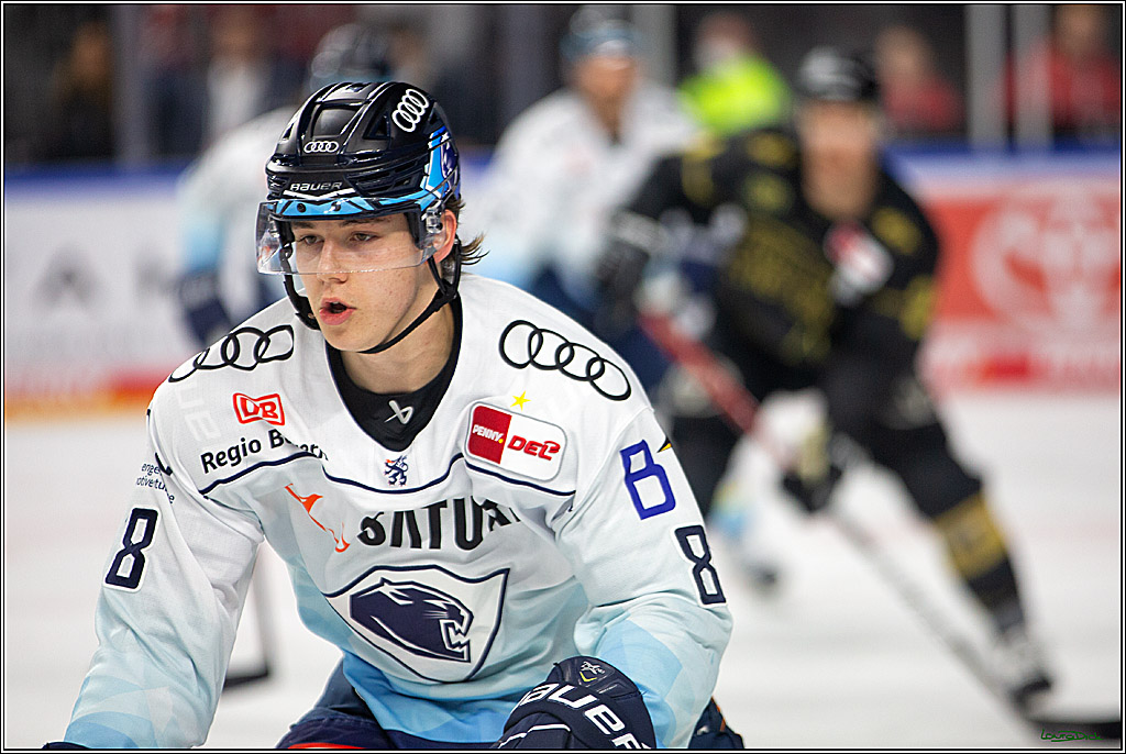 PENNY DEL;  Kölner Haie - ERC Ingolstadt; Köln, 25.11.2022